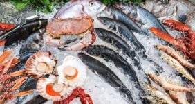 صادرات محصولات شیلاتی ایران به 61 کشور جهان