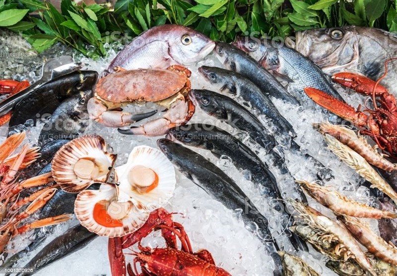 صادرات محصولات شیلاتی ایران به 61 کشور جهان