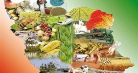 طرح ملی تنظیم بازار یکچارچه بخش کشاورزی آغاز شد