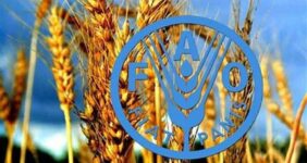 فائو: استفاده از فناوری هسته‌ای برای غلبه بر ناامنی غذایی ضروری است