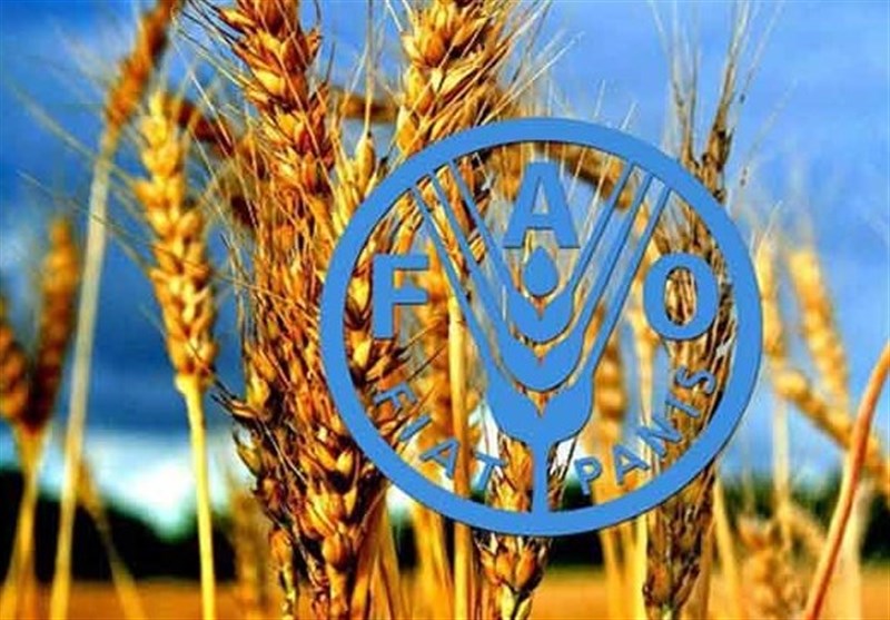 فائو: استفاده از فناوری هسته‌ای برای غلبه بر ناامنی غذایی ضروری است