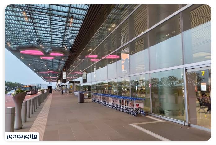 فرودگاه سنگاپور فرودگاه سنگاپور | بهترین فرودگاه جهان!