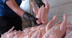 قیمت جدید مرغ توسط وزارت جهادکشاورزی اعلام شد+ جدول