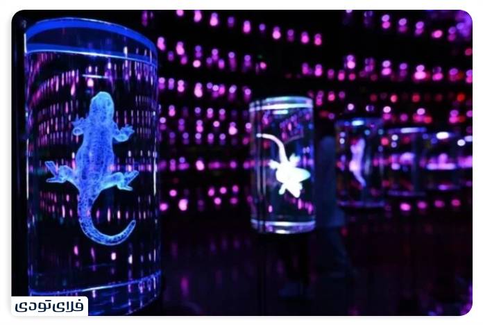 موزه آینده دبی معرفی موزه آینده دبی