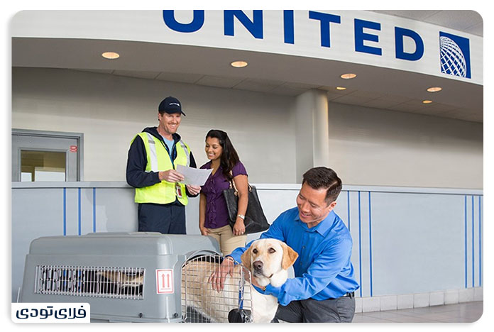 حمل حیوان خانگی با هواپیما نکات و شرایط حمل حیوان خانگی با هواپیما