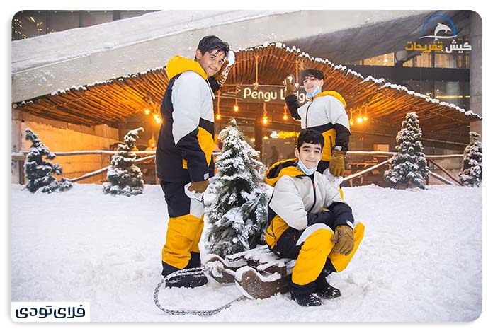 پارک برفی پنگوئن کیش