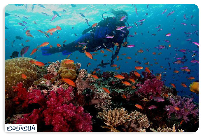 هزینه سفر به کیش چقدر است؟