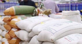 واردات برنج افزایش یافت