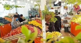 ورود میوه به کالابرگ از 15 اسفند