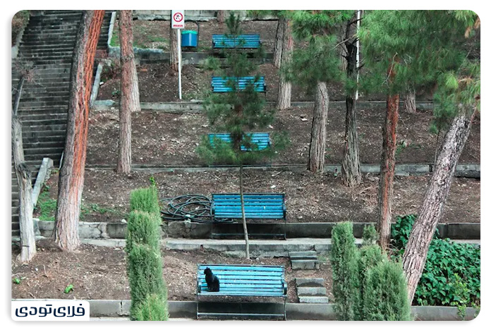 پارک ساعی پارک ساعی ولیعصر