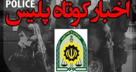 کشف ۷۰۰۰ بارنامه جعلی قاچاق سوخت در فارس