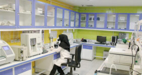 ۸۰ درصد تصمیمات پزشکی وابسته به آزمایشگاه‌ها است