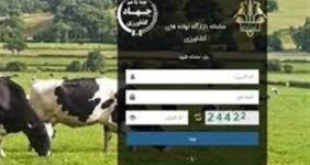 2 میلیون تن نهاده در بازارگاه بارگذاری شد/رفع منع صادرات مازاد تولید