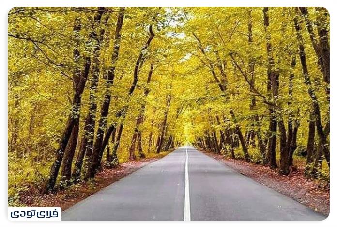 آستانه اشرفیه کجاست و چه جاذبه هایی دارد؟
