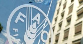 ایران خواستار استفاده رسمی از نام «خلیج فارس» در اسناد فائو شد