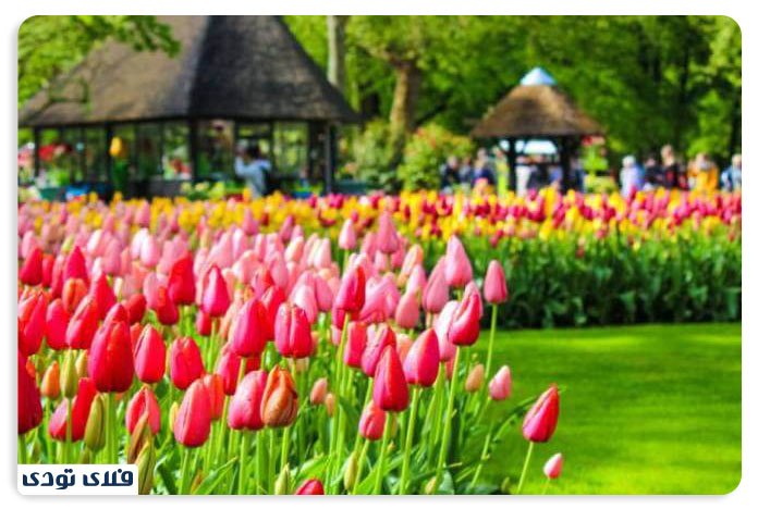 جاهای دیدنی آمستردام باغ های معروف آمستردام