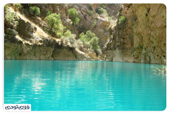 تنگ دم اسب