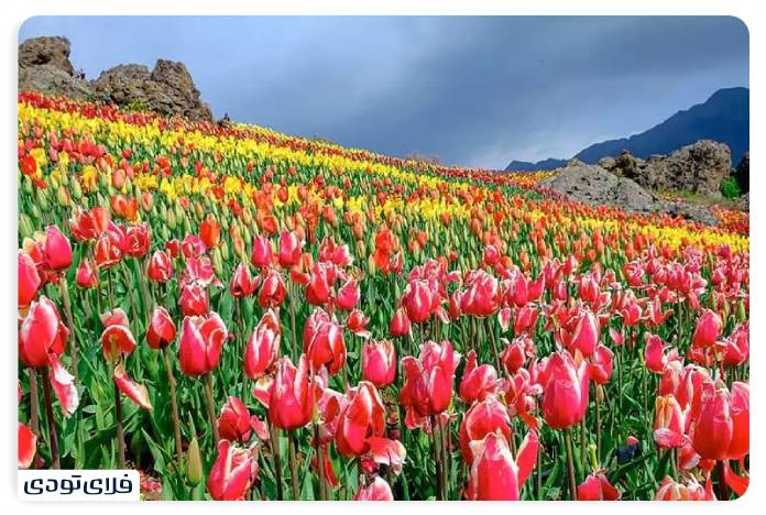 جاهای دیدنی استان البرز جاهای دیدنی البرز | استانی با جاذبه های تاریخی و طبیعی