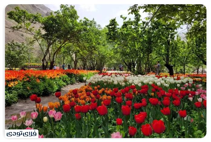 جاهای دیدنی استان البرز جاهای دیدنی البرز | استانی با جاذبه های تاریخی و طبیعی