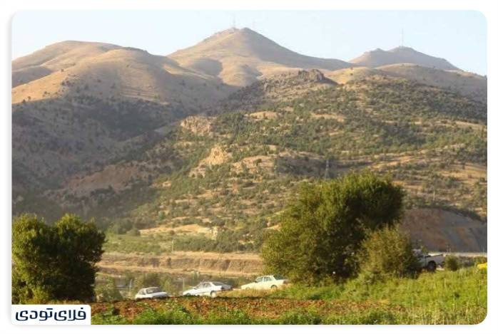 روستای مجسه