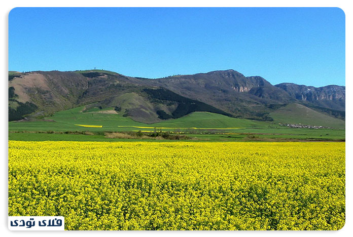 جاهای دیدنی بندر ترکمن جاهای دیدنی بندر ترکمن |سفر به سرزمین اسبهای مسابقه!