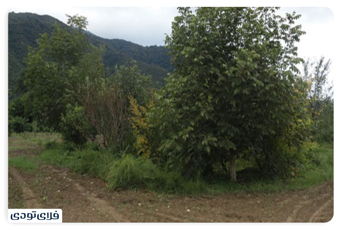 روستای کهنه‌کلباد