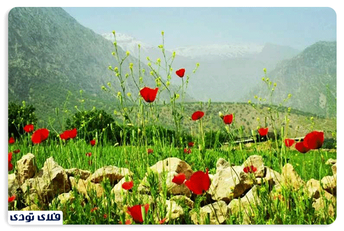 جاهای دیدنی خوزستان دشت سوسن ایذه