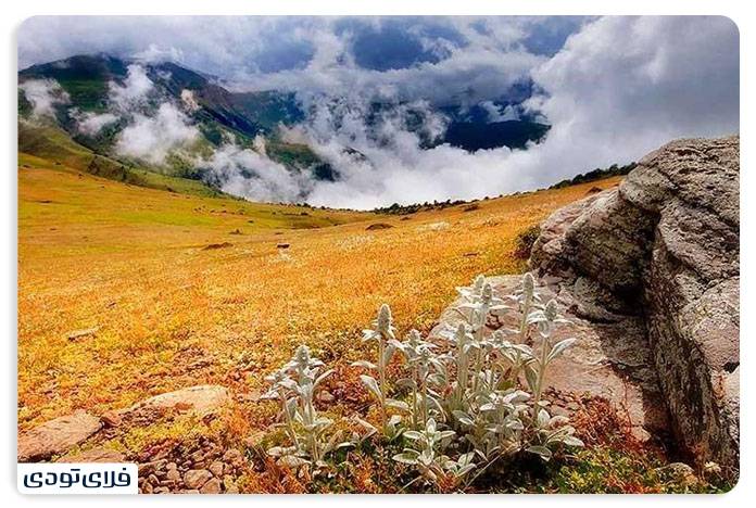 جاهای دیدنی رامسر جاهای دیدنی رامسر | جواهری در خطه شمال