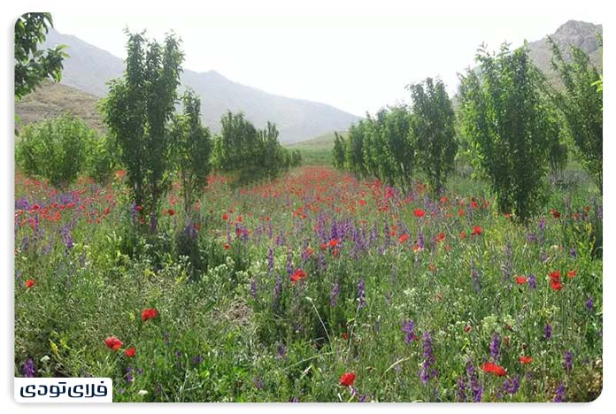 جاهای دیدنی سمیرم دره حنا علیشاه