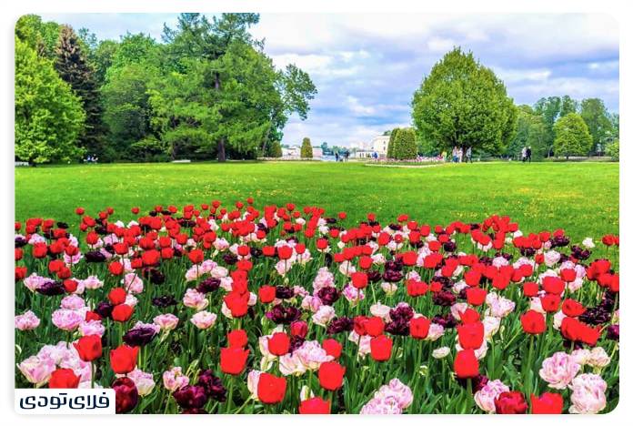 جاهای دیدنی سنت پترزبورگ جزیره یلاگین