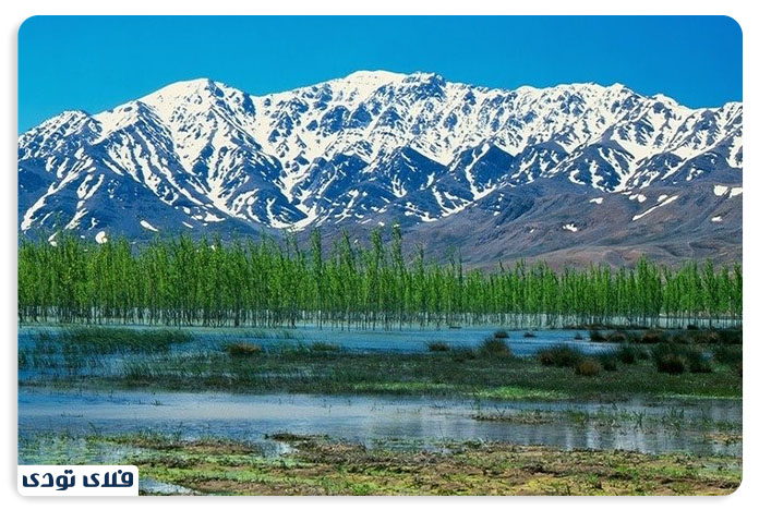 جاهای دیدنی شهرکرد تالاب چغاخور خانه پرندگان آبزی