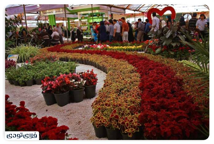 جاهای دیدنی محلات جاهای دیدنی محلات | سفر به هلند ایران!