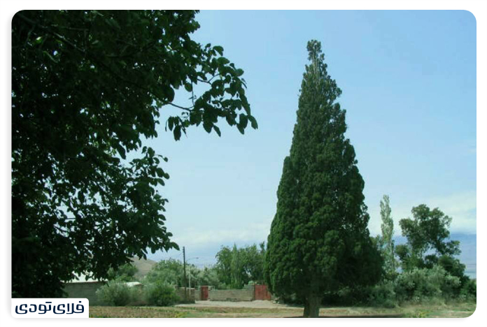سروهرزویل