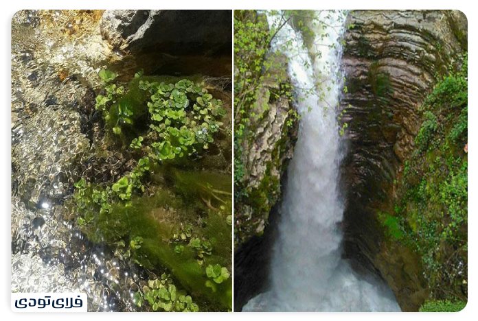 آبشار سیسنگان نور