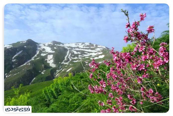 جاهای دیدنی کردستان کوه چهل چشمه