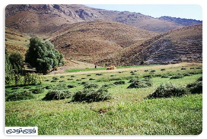 جاهای دیدنی کردستان منطقه حفاظت شده عبدالرزاق