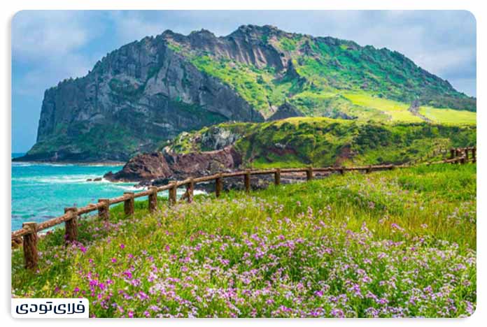 جاهای دیدنی کره جنوبی | از کاخ های باستانی تا برج های مدرن