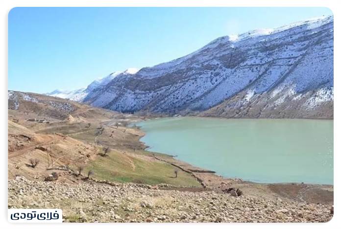 دریاچه مور زرد