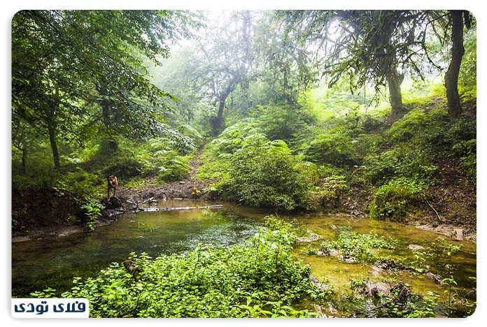 جاهای دیدنی گلستان جاهای دیدنی بندر گز گلستان