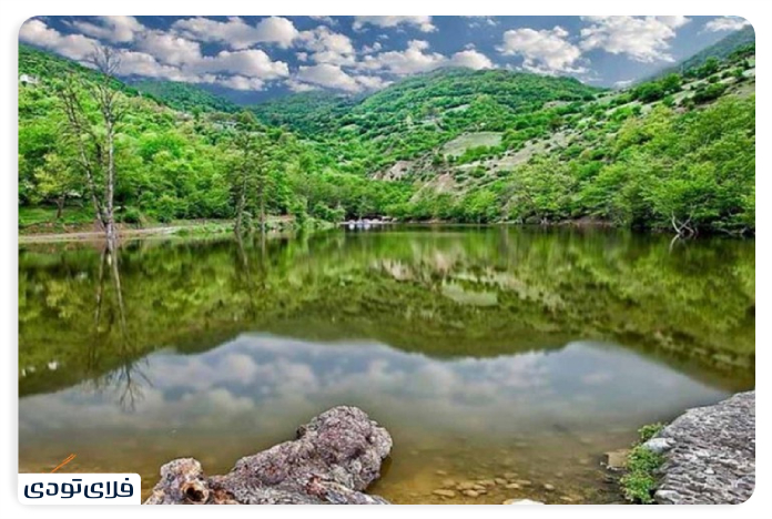 جنگل راش دریاچه شورمست