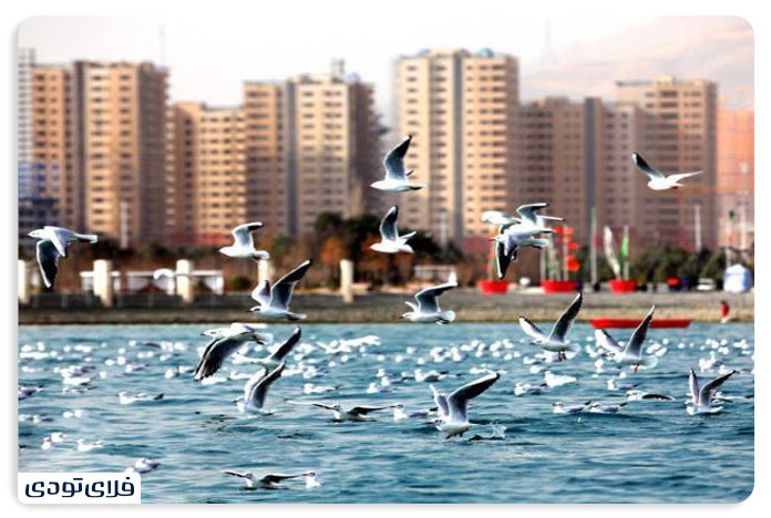 دریاچه چیتگر دریاچه چیتگر تهران