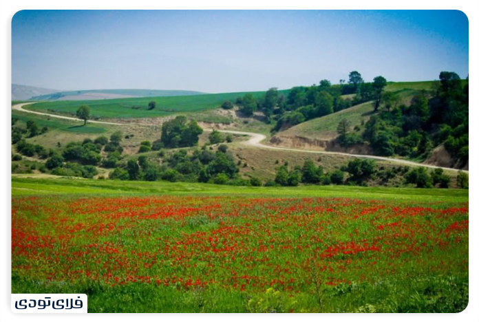 دسترسی به دشت شقایق کالپوش