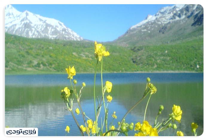 پوشش گیاهی و جانوری دشت لار