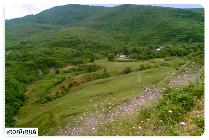 روستای افجه
