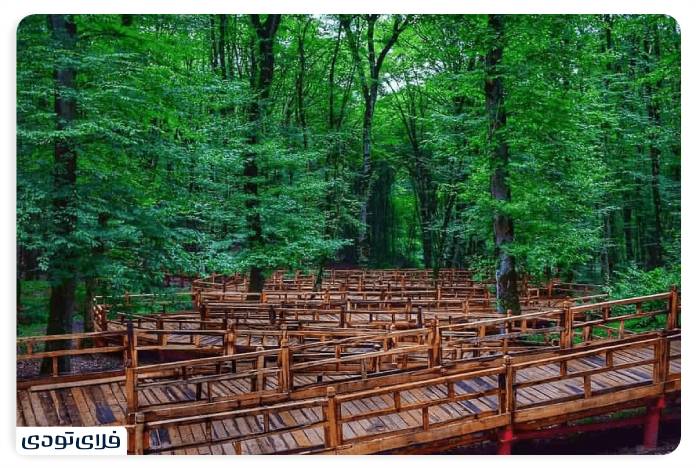 سفر به گرگان راهنمای سفر به گرگان | از جنگلهای هیرکانی تا ساحل خزر