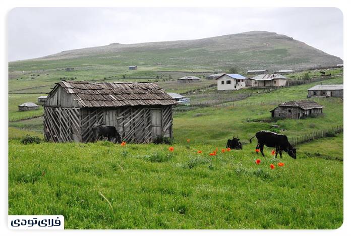 سفر به گیلان راهنمای سفر به گیلان | سرسبزترین استان ایران