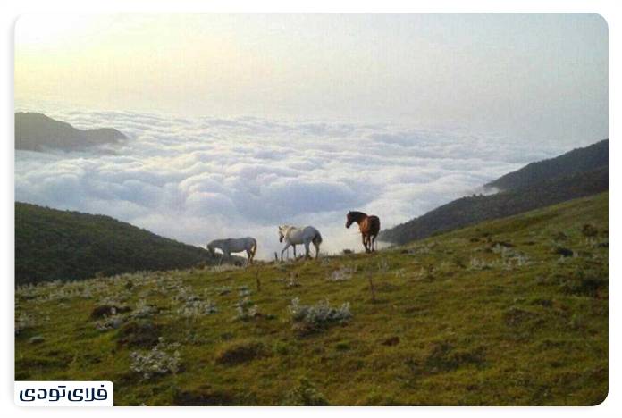 سفر به گیلان راهنمای سفر به گیلان | سرسبزترین استان ایران