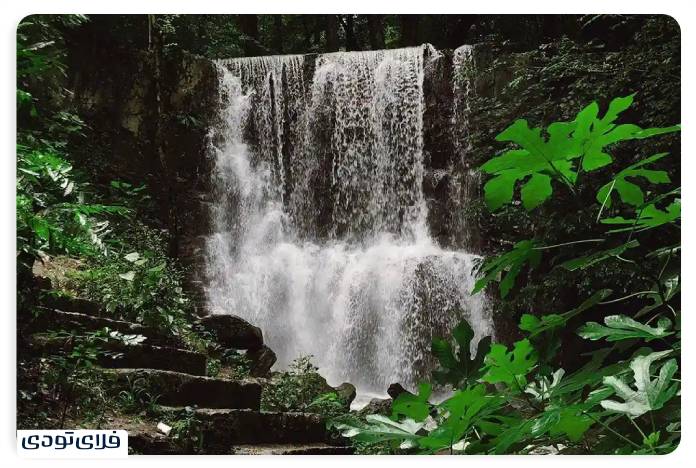 سفر به گیلان راهنمای سفر به گیلان | سرسبزترین استان ایران