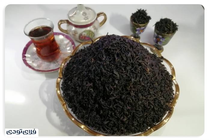 سفر به گیلان راهنمای سفر به گیلان | سرسبزترین استان ایران