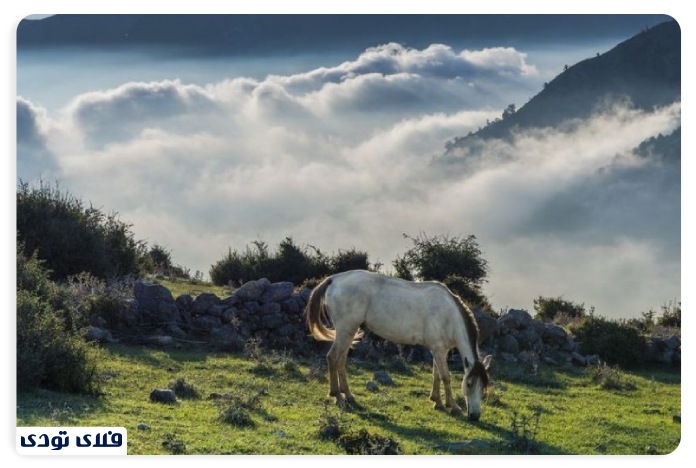 روستای فیلبند آب و هوای فیلبند